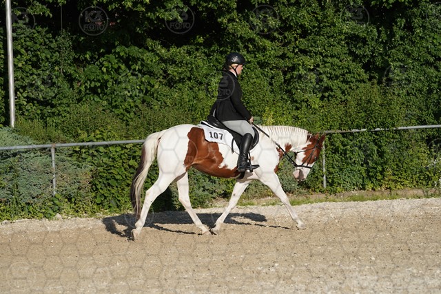 sA9K06042.JPG